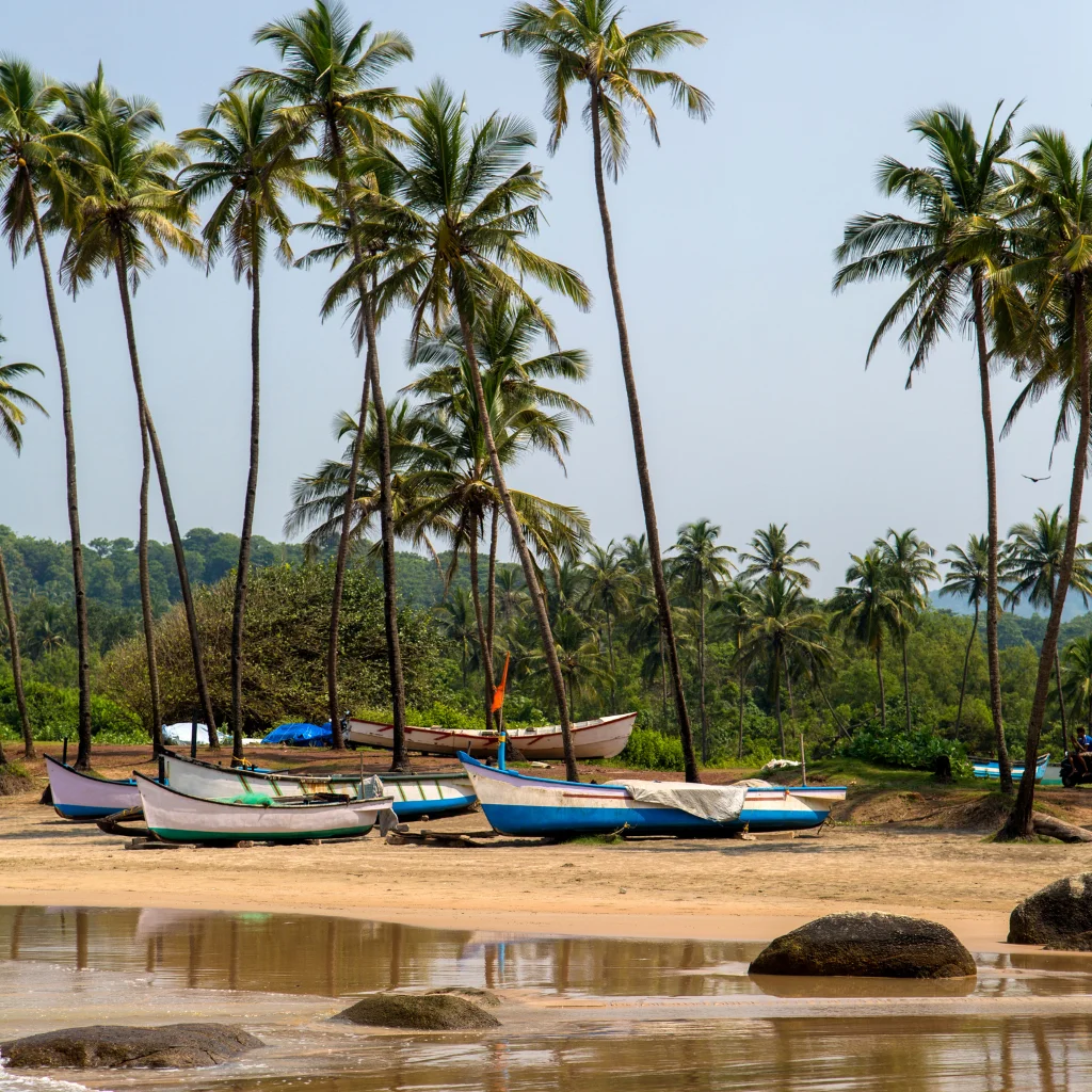 Untitled design (72) Goa Student Leisure Trip (4 Days) - Image 1