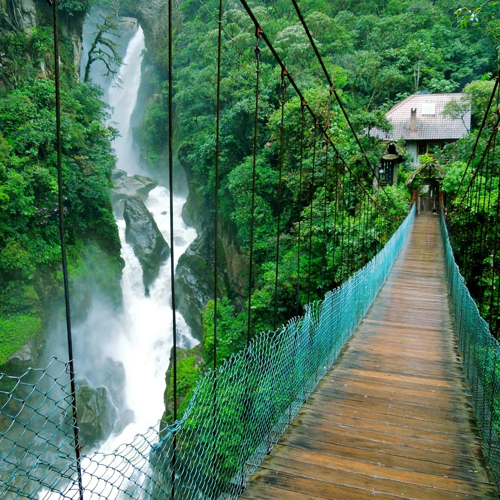 Untitled design (85) Meghalaya Cloud Trail Solo Journey (6 Days) - Image 1